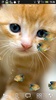 ニシキヤッコと子猫★LIVE壁紙 screenshot 1