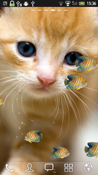 FISH&CAT LIVE WALL PAPER (8) - Preview 1