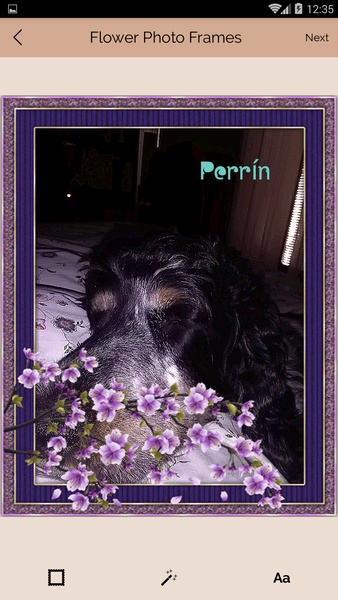Flower Photo Frames - Preview 6
