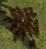 Ant Simulation screenshot 4