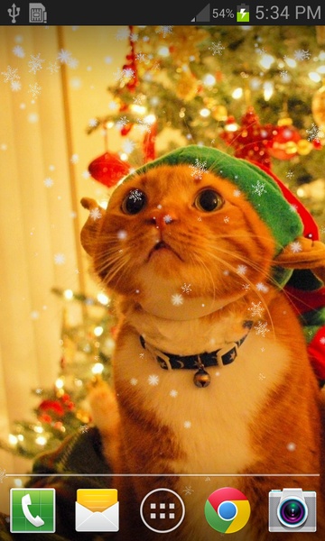 Christmas Cat live wallpaper - Preview 7