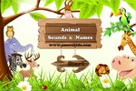 Animal Sound screenshot 10