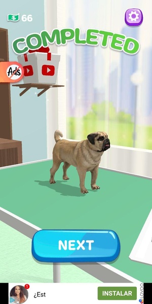 Paw Care - Preview 9