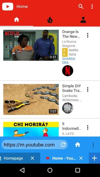 Fire Browser - Preview 2