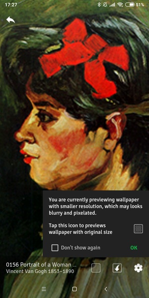 Art of Vincent van Gogh - Preview 6