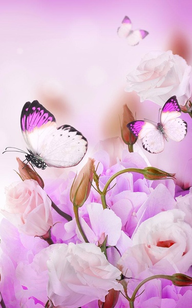 Butterfly Live Wallpaper - Preview 6