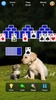 Solitaire Collection screenshot 6