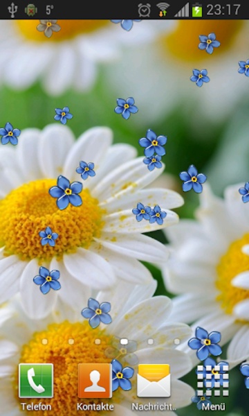Camomiles wallpaper HD - Preview 8