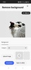 Adobe Express screenshot 8