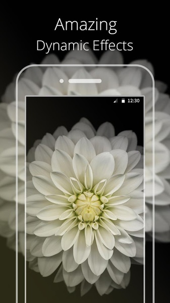 iOS Flower - Preview 2