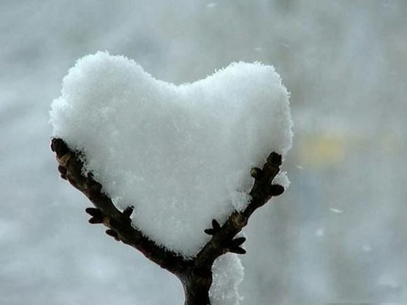 Images of Love - Nature - Preview 2