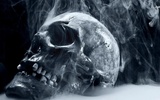 Smoking Skull Live Wallpaper screenshot 2