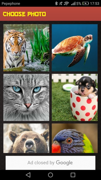 Animals Sliding Puzzle - Preview 7