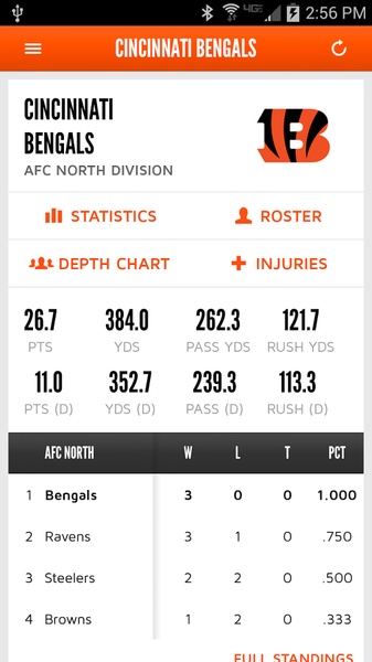 Bengals - Preview 4