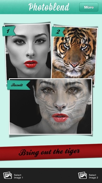 Photoblend - Preview 3