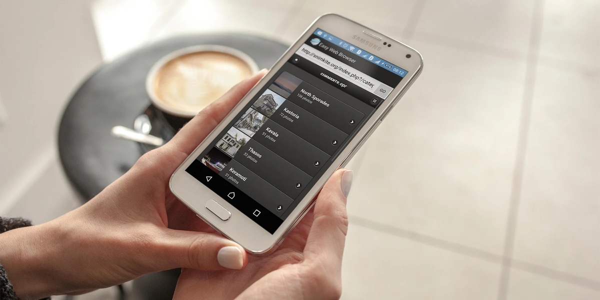 Easy Web Browser - Preview 3