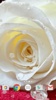 White Rose Live Wallpaper HD screenshot 2