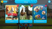 HorseWorld: ShowJumping screenshot 11