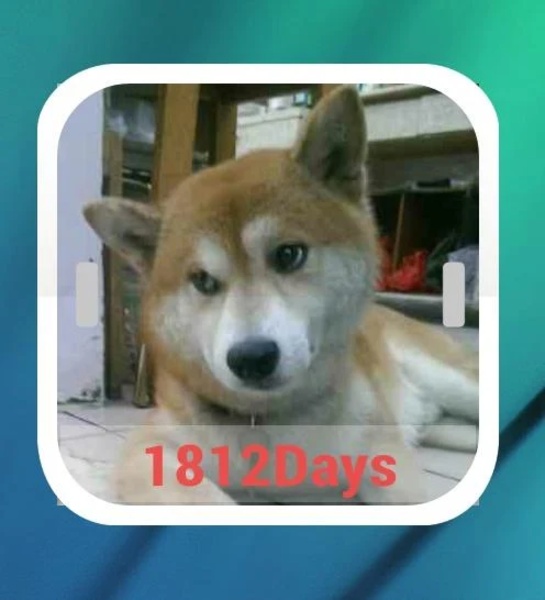 LoversDayCount - Preview 1