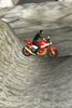 3D Bike Fun screenshot 2