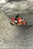 3D Bike Fun screenshot 2