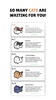Arrows And Cats screenshot 15