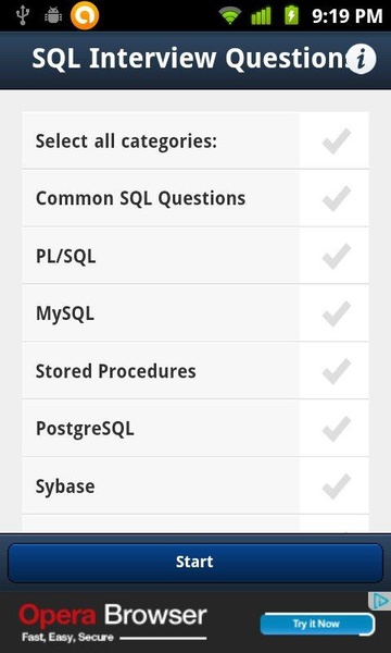 SQL Interview Questions Lite - Preview 3