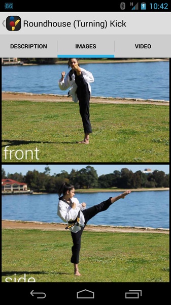 Taekwondo Masterkit Free - Preview 8