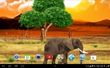 Safari Live Wallpaper screenshot 1