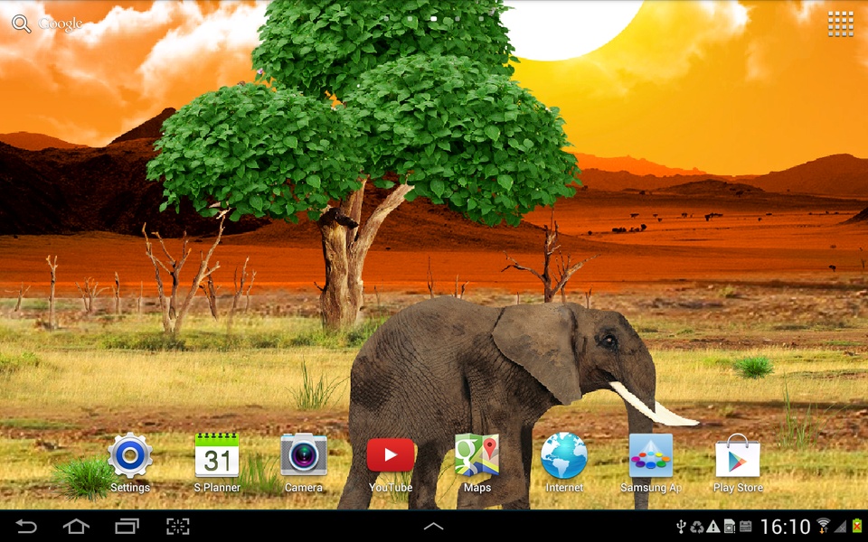 Safari Live Wallpaper - Preview 1