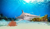 The Hammerhead Shark screenshot 9