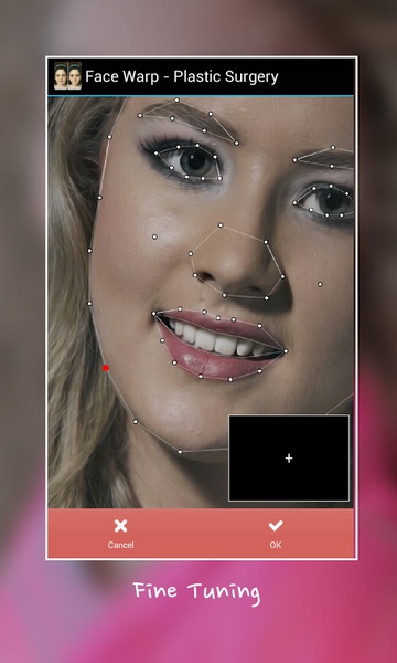Face Warp - Plastic Surgery - Preview 3