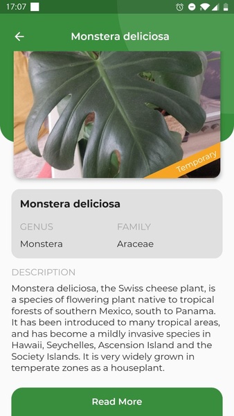 LeafSnap - Preview 5