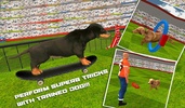Dog Stunt Show Simulator 3D screenshot 5