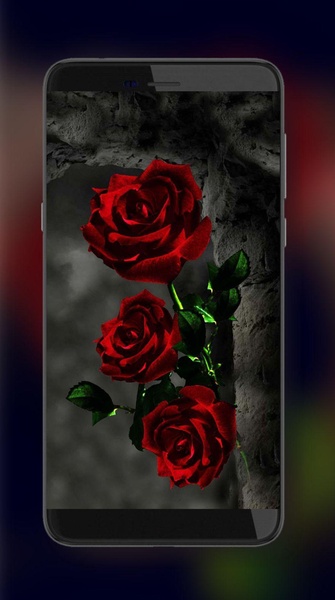 Gothic Roses Live Wallpapers - Preview 2