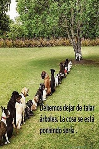 Imagenes chistosas para Wasap - Preview 4