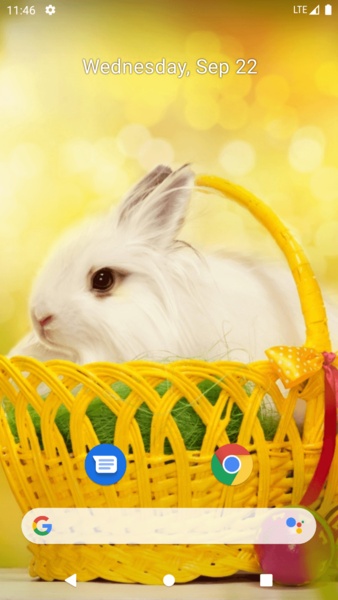 Rabbit Wallpaper - Preview 10