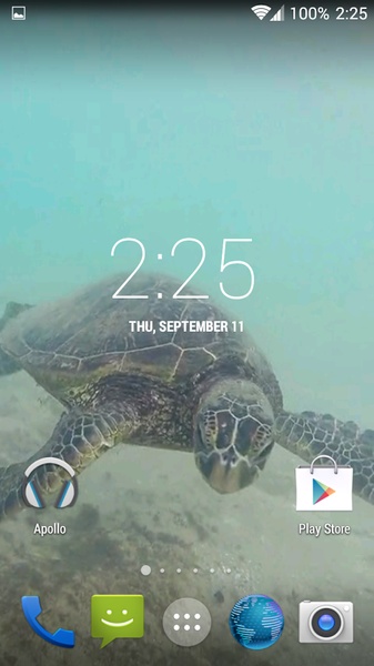 Sea Turtle HD. Wallpaper - Preview 7