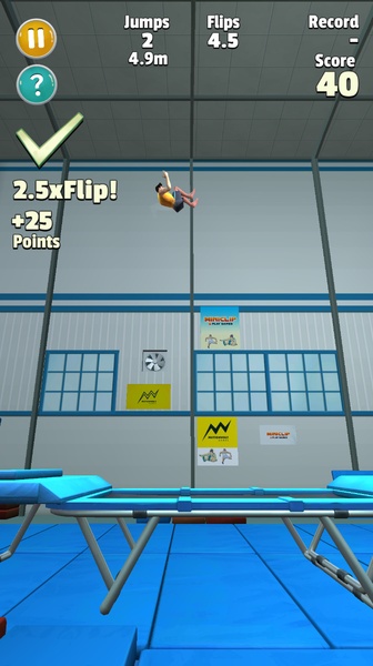 Flip Master - Preview 4