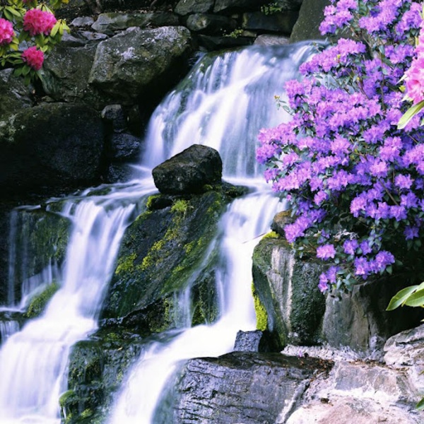 Magic Waterfall Live Wallpaper - Preview 3