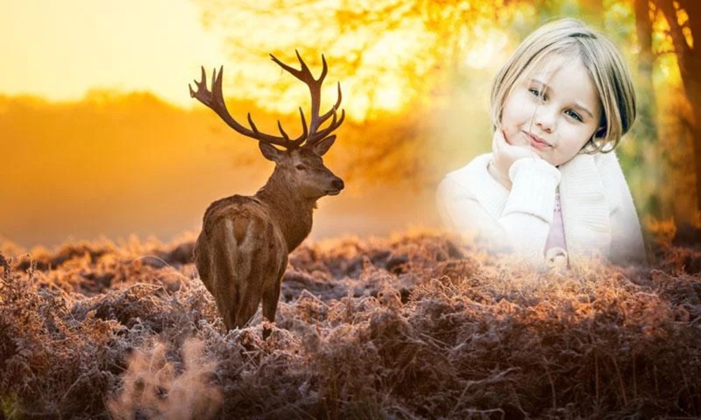 Animal Photo Frame - Preview 1
