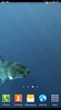 White Shark Video Wallpapers screenshot 3