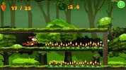 Jungle Bunny Run screenshot 1