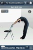 Stretch Exercises screenshot 3