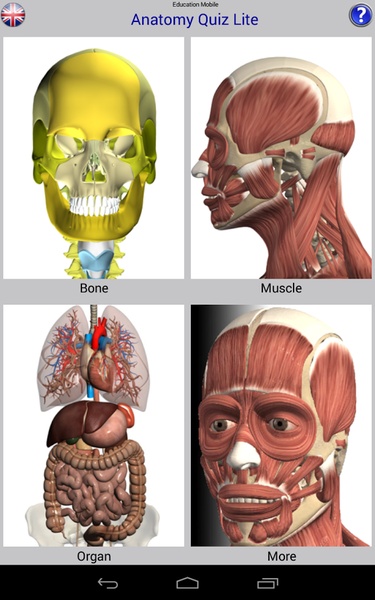 Anatomy Quiz Lite - Preview 8