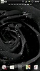 Black Rose live wallpapers screenshot 2