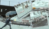 Wild Snow Leopard Simulator 3D screenshot 15
