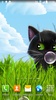 Funny Kitten Live Wallpaper screenshot 7