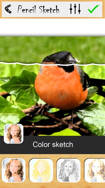 Sketch My photo - Preview 2