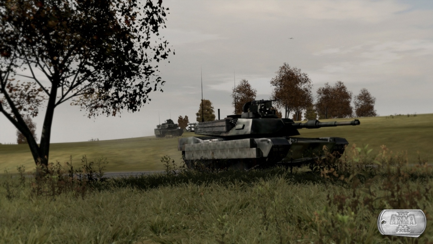 ArmA 2 Free screenshot 3